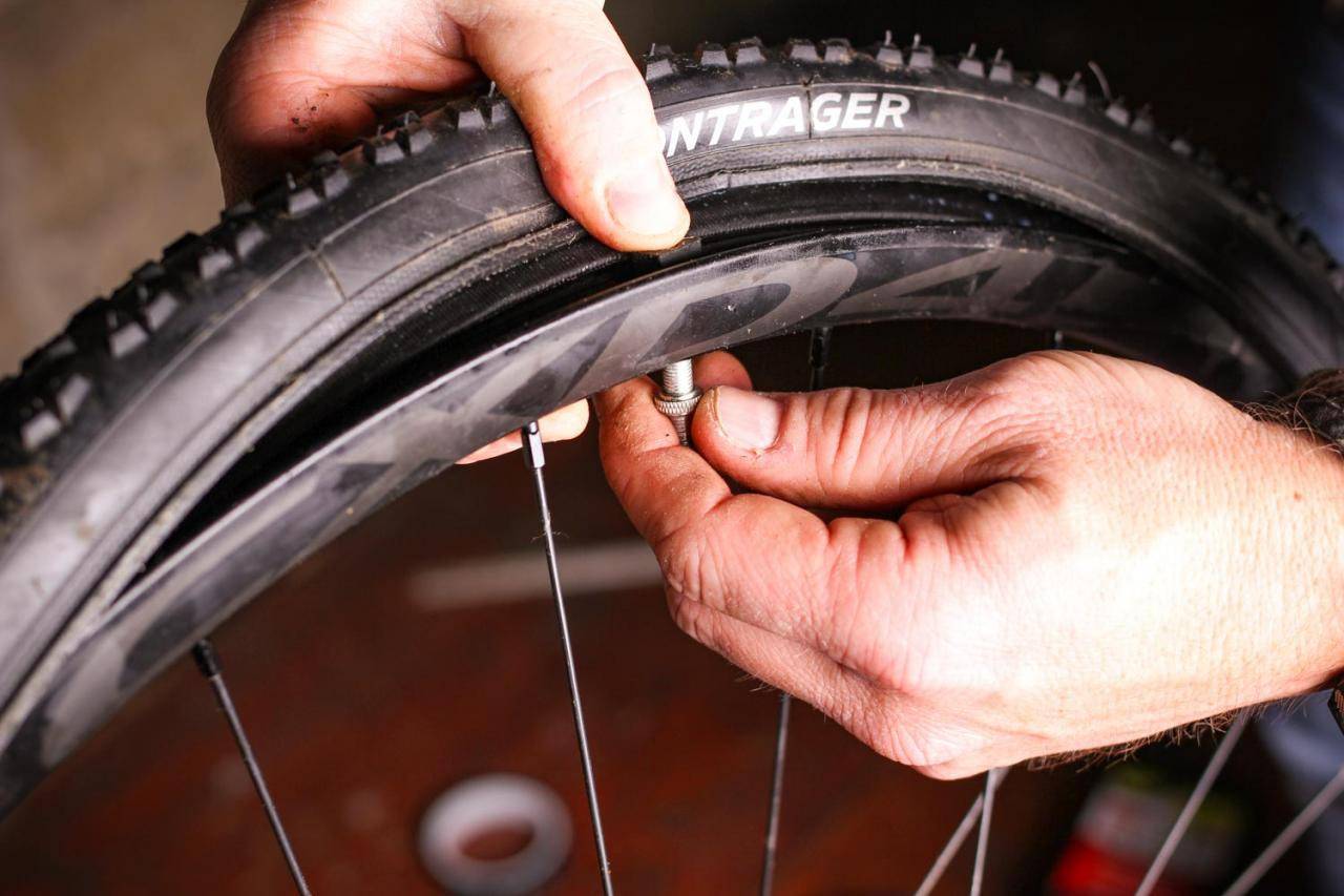 Бескамерные шины для велосипеда: описание, принцип действия, виды, советы при выборе