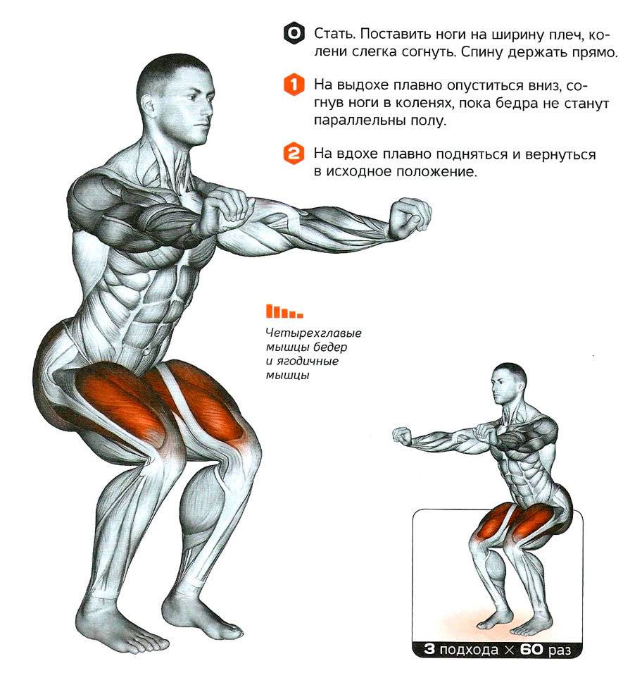 Как накачать худые ноги (с иллюстрациями) - wikihow