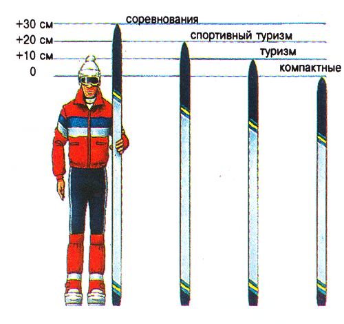 Чем отличаются беговые лыжи. Лыжи для дошкольников по росту. Строение лыж. Строение беговых лыж. Лыжи чертеж.