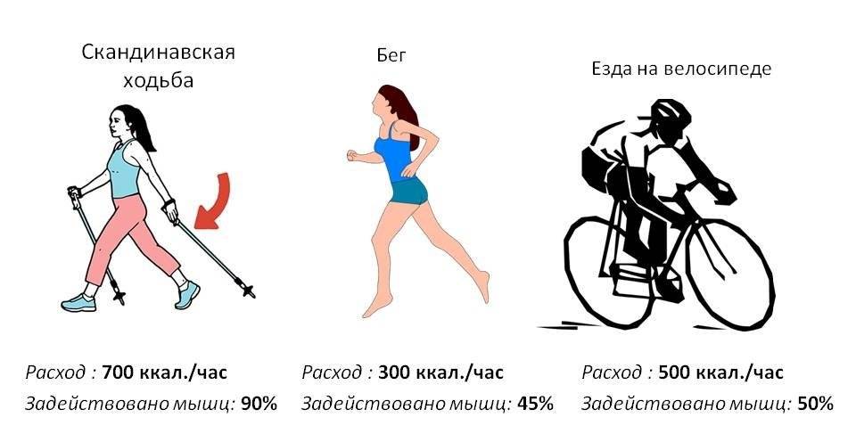 Сколько калорий сжигается при езде на велосипеде и как увеличить их расход?