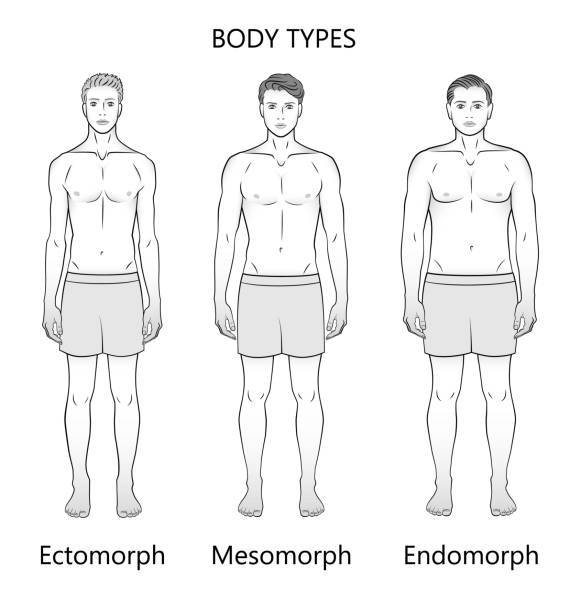 Как определить, кто ты — эндоморф, эктоморф или мезоморф?