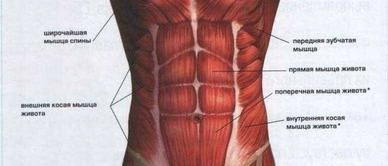 Dolor muscular abdomen derecho