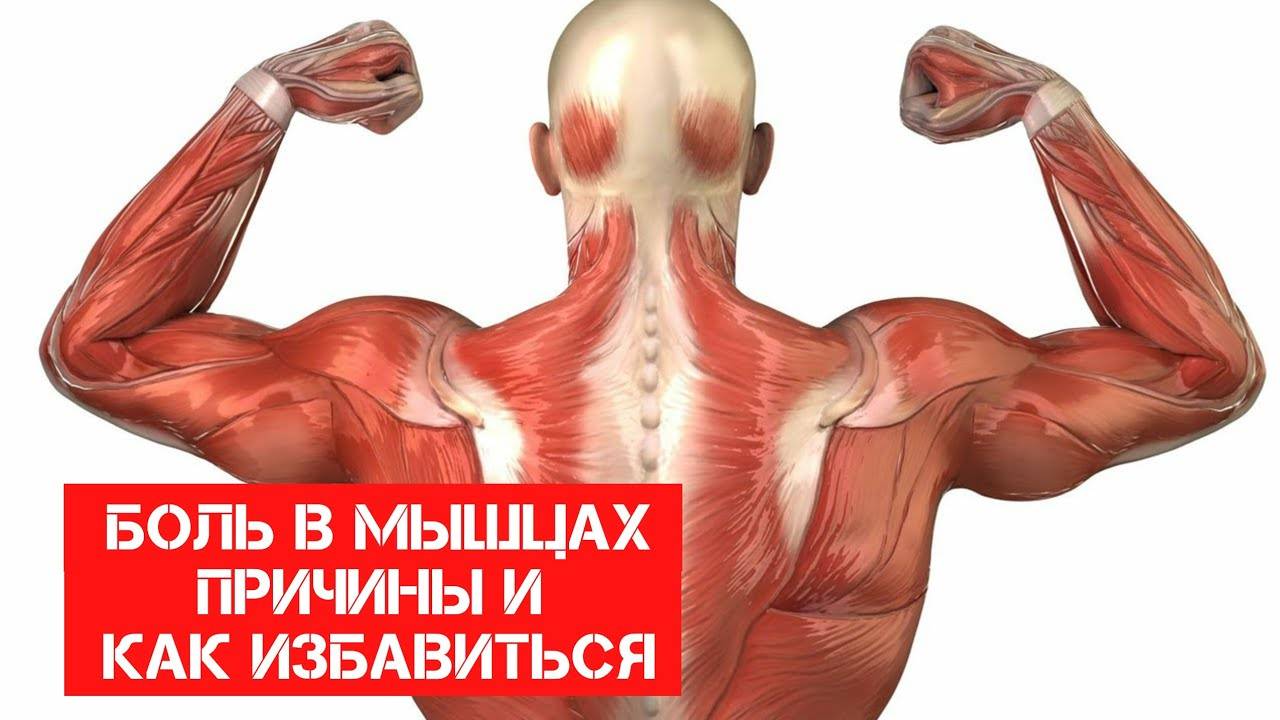 Средство от боли в мышцах после тренировки