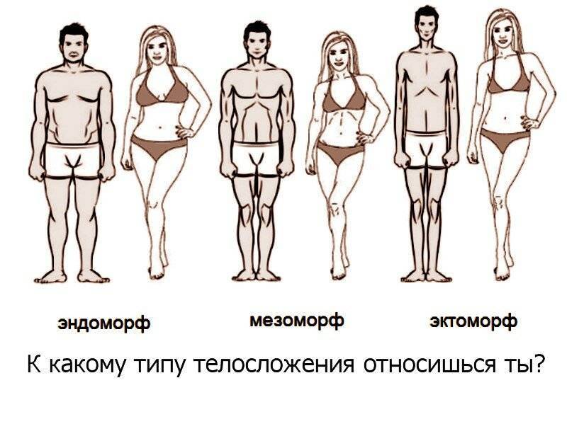 Тест на тип телосложения для подростков. тип телосложения и идеальный вес по формуле пинье