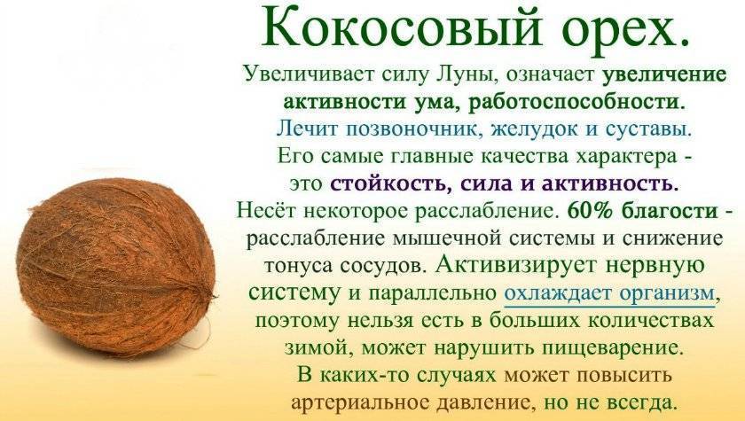 Полезные свойства кокоса, питательные вещества и состав, рекомендации и противопоказания кокоса