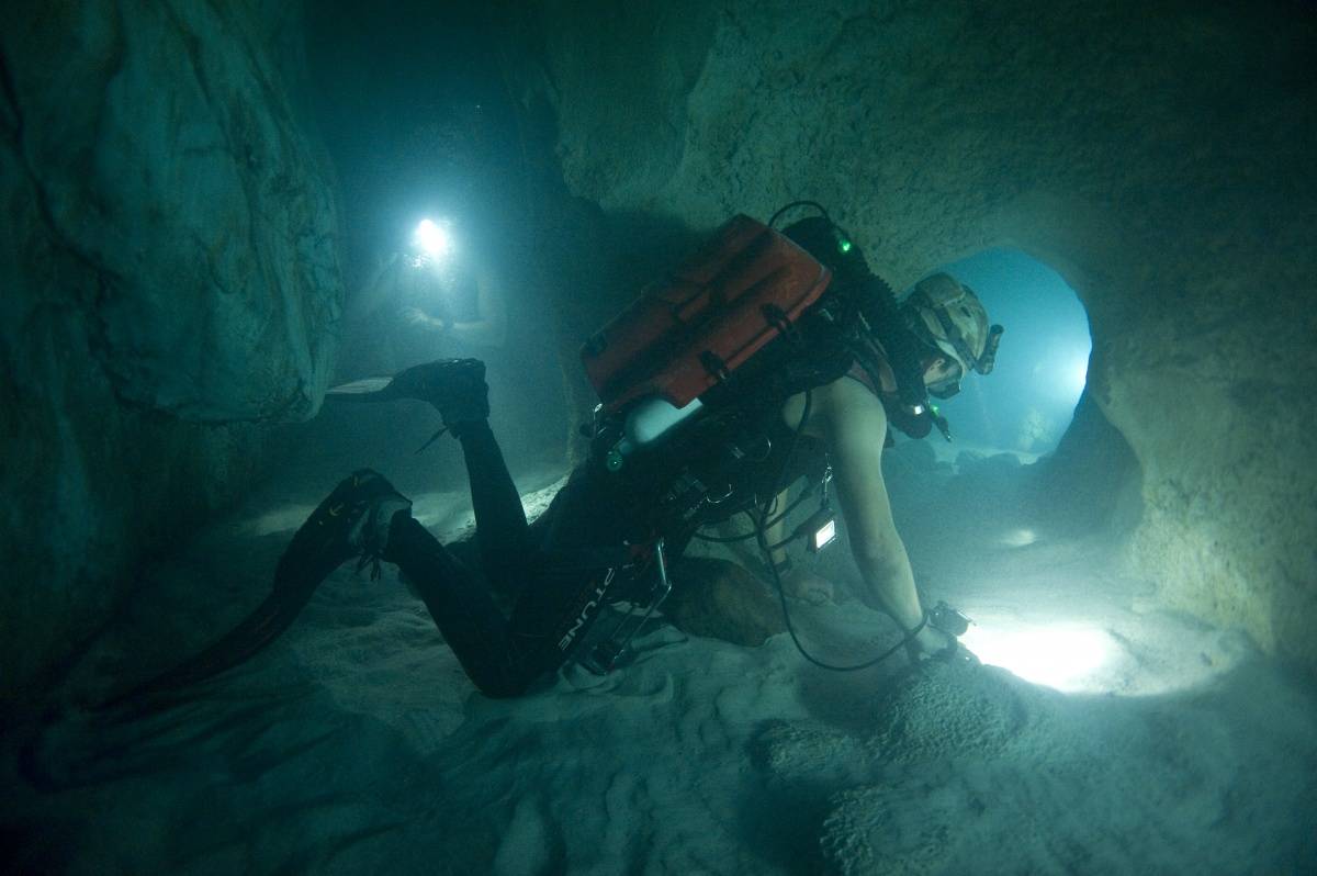 «аквамен» и ещё 5 отличных фильмов и мультфильмов о подводной жизни