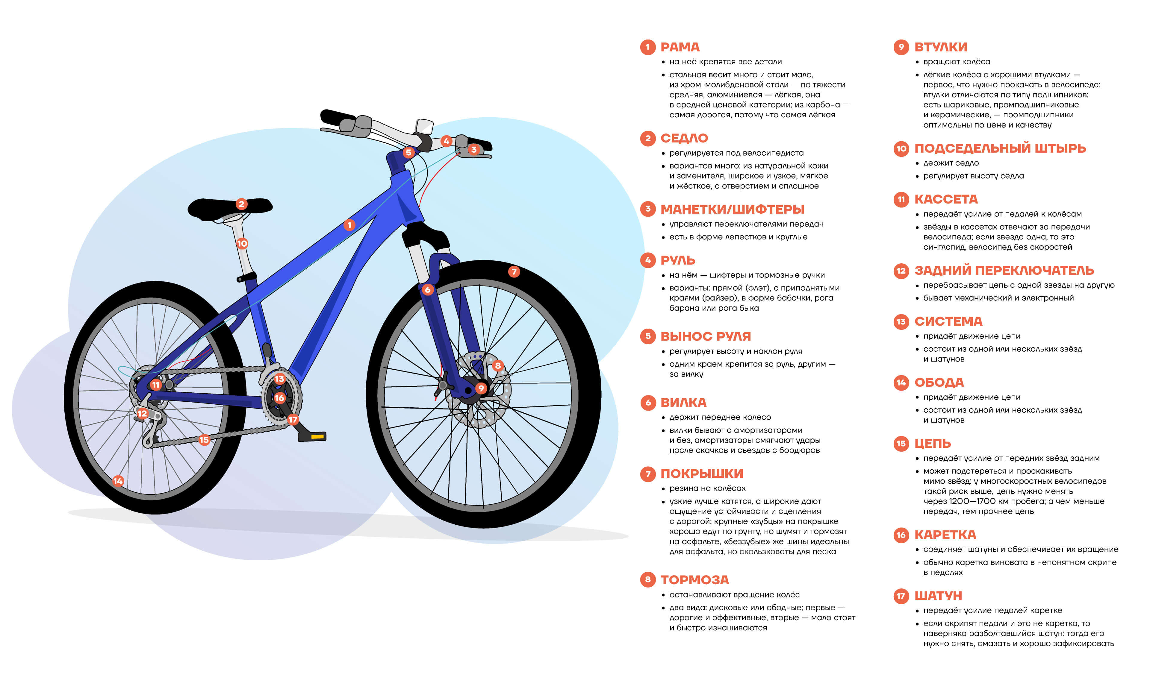 Классификация современных велосипедов (типы современных велосипедов) 2021 - «agbike: велосипед и велотуризм»