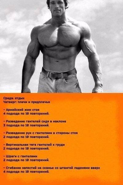 Диета арнольда шварценеггера, спортивное питание на массу - medside.ru