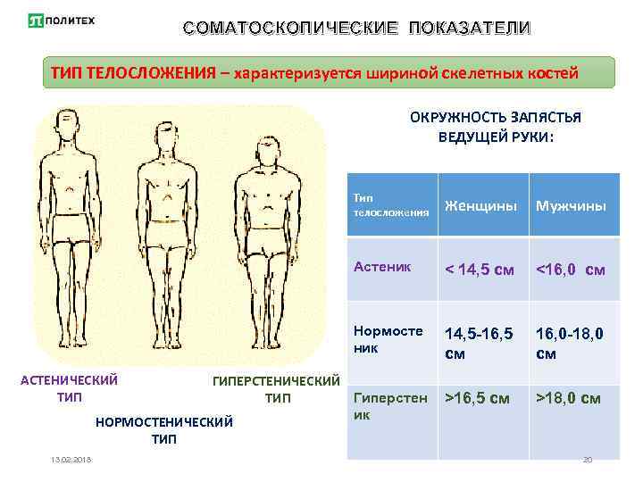 Типы телосложения мужчин какое бывает, чем отличается и как его определить