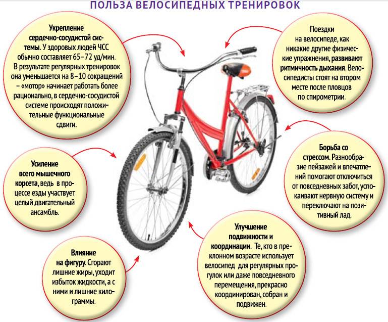 Как делать упражнение велосипед правильно?