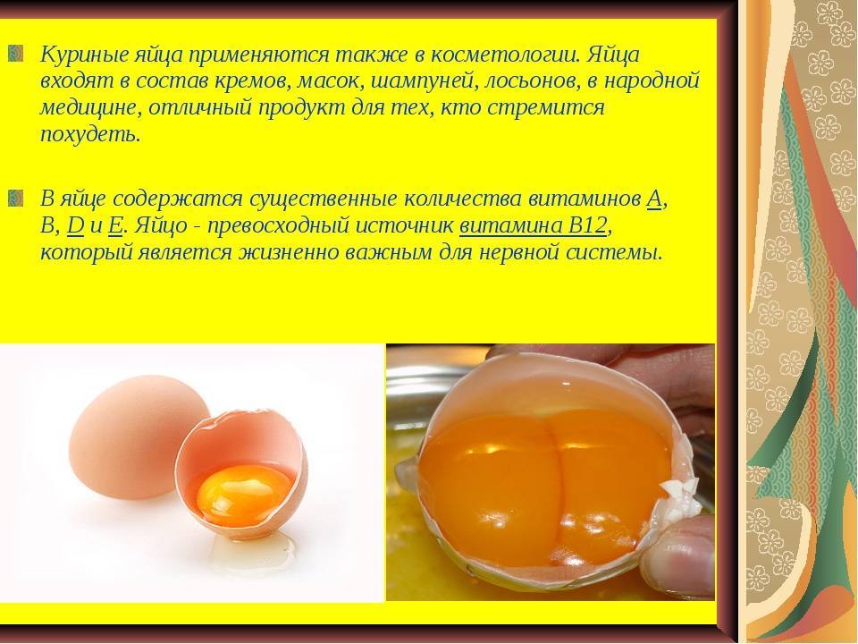 Egg guru — первый про яйца. вред или польза от яиц, приготовленных всмятку