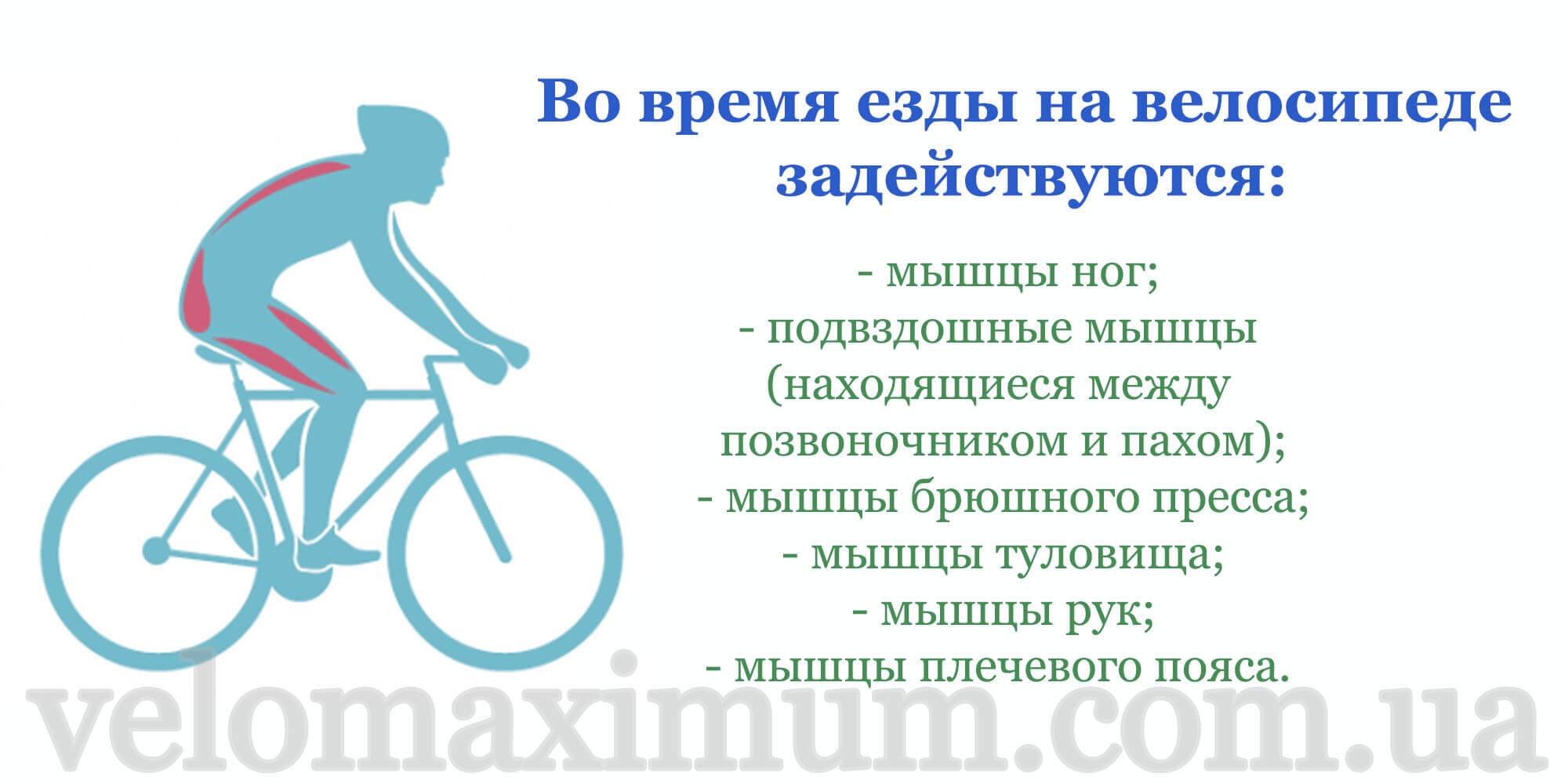 Польза от велосипеда