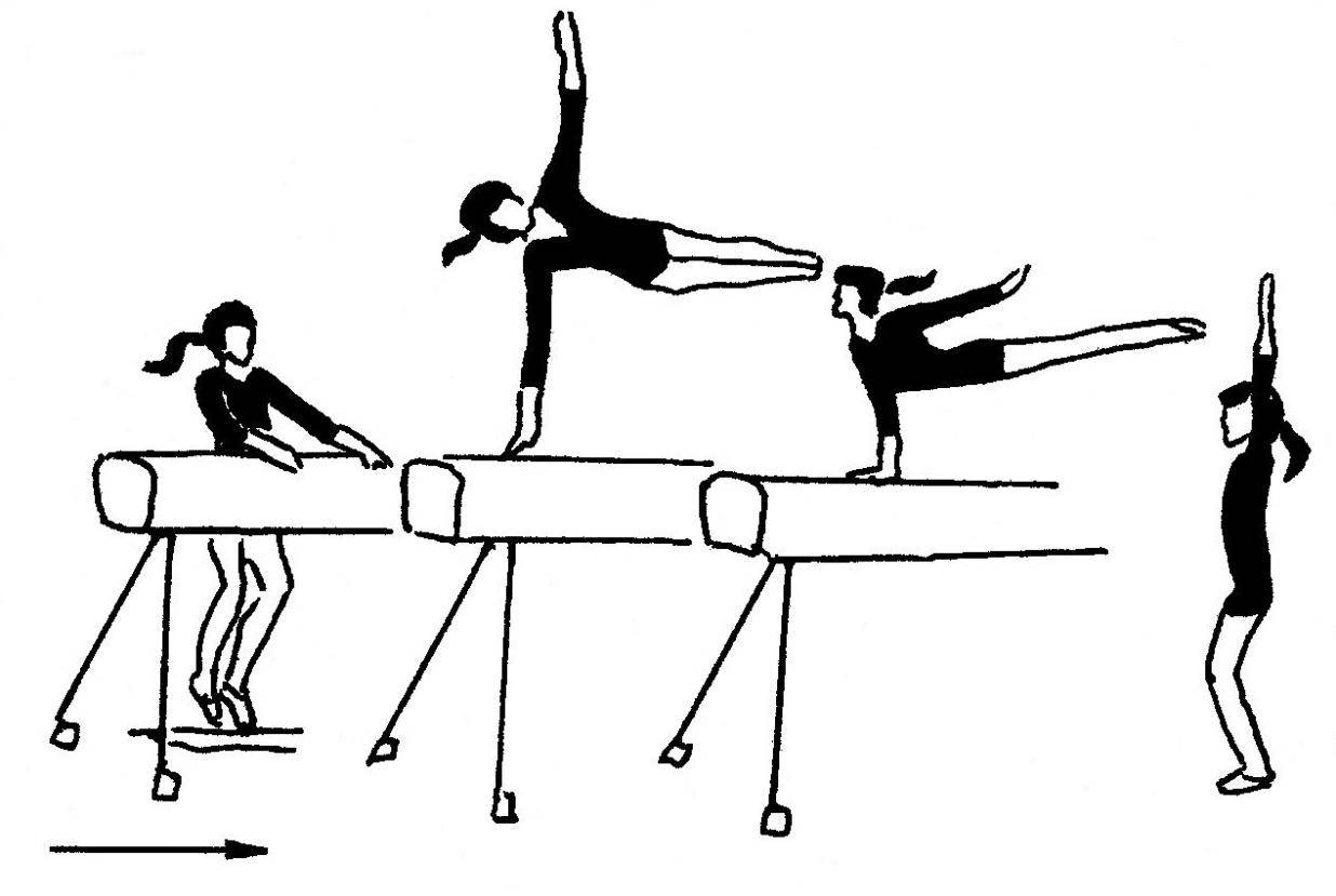 Виды спортивной гимнастики
