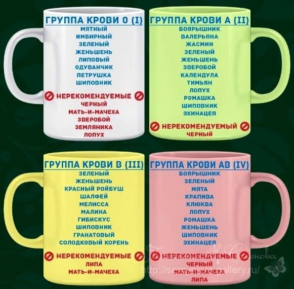 Как подобрать диету по группе крови: новости, здоровье, группа крови, диета, рацион питания, диеты