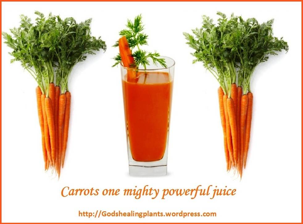 Морковная диета 11 кг за 7 дней - преимущества, меню, правила