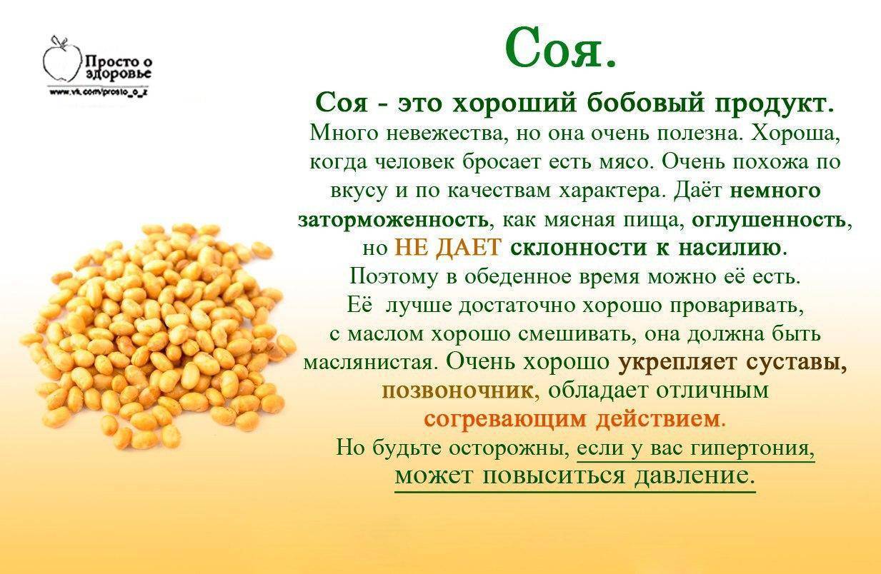 Соя: польза и вред, состав, калорийность, в каких продуктах содержится | zaslonovgrad.ru