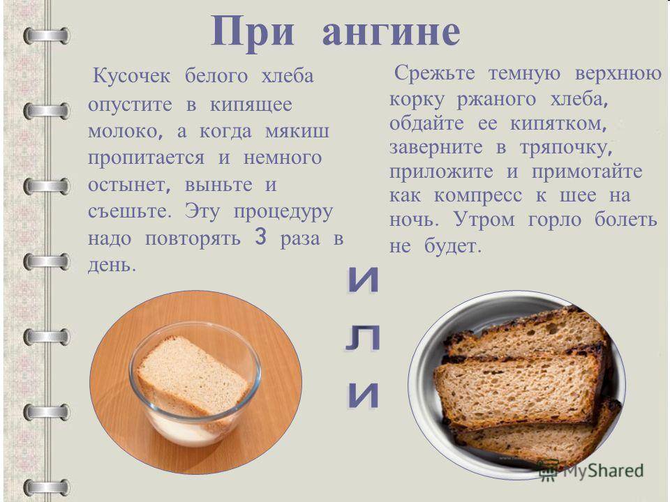 Болезни хлеба и их влияние на организм человека | статья в журнале «юный ученый»