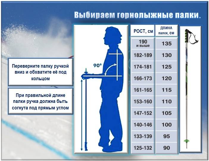 Чем отличаются лыжные палки и как выбрать размер лыжных палок?