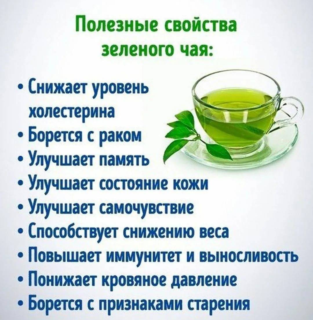 Зеленый чай для похудения: рецепты, польза для снижения веса
