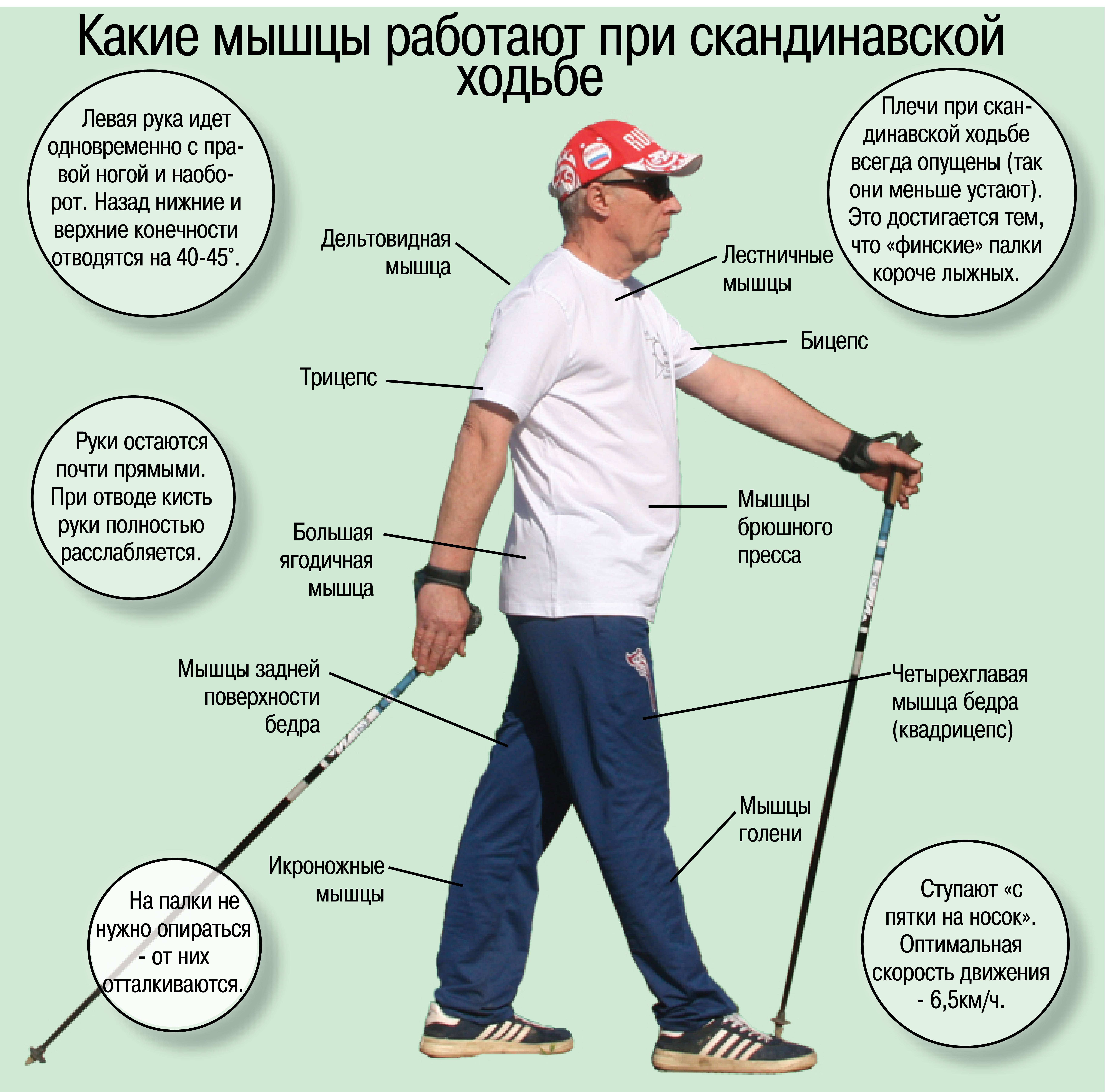 Техника скандинавской ходьбы с палками для пожилых: как правильно заниматься, противопоказания