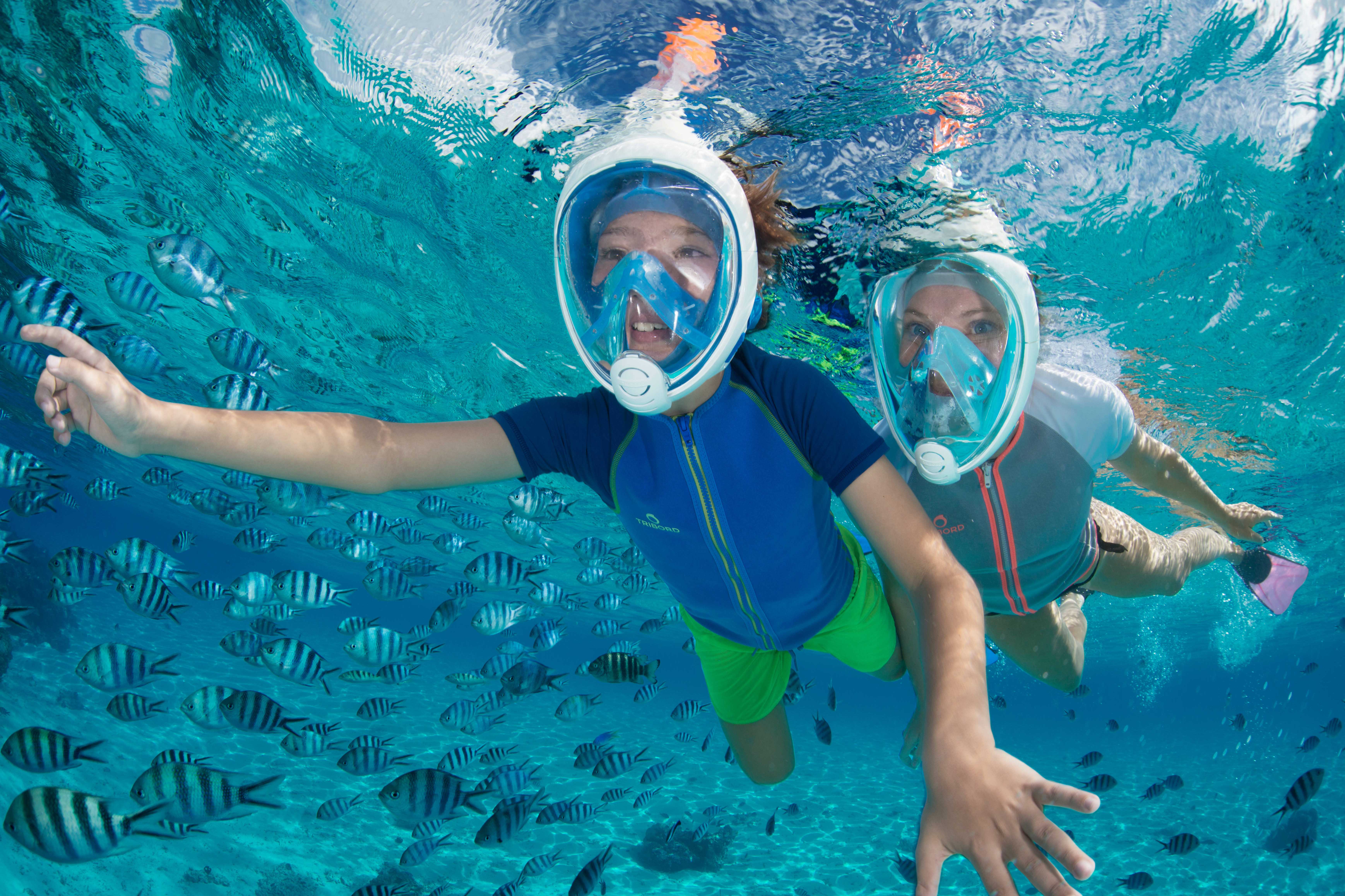 Как выбрать маску для подводного плавания? — советы и отзывы - правильно выбрать - все начинается с выбора.