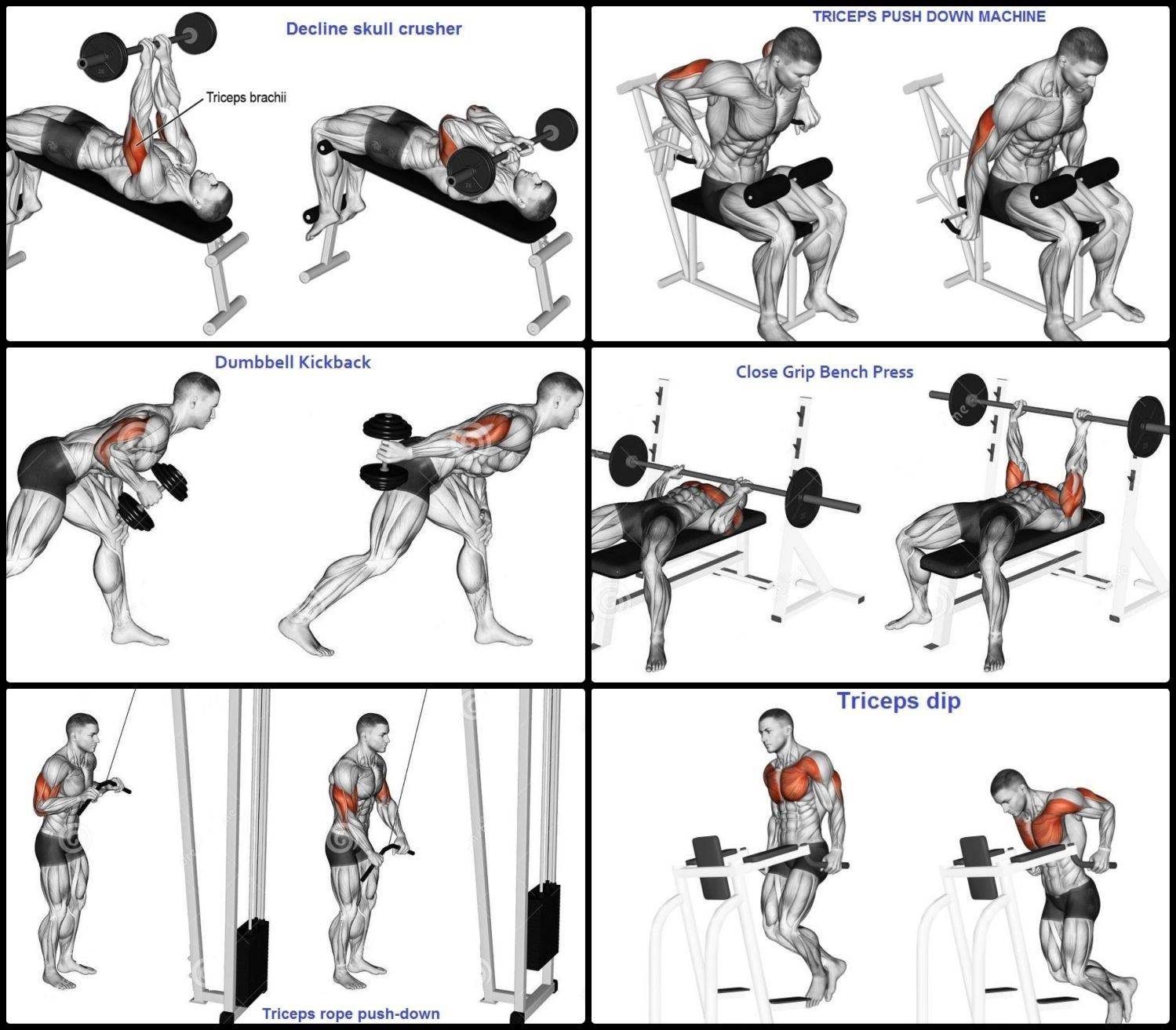 тренировка спины и груди в одну тренировку фото 12
