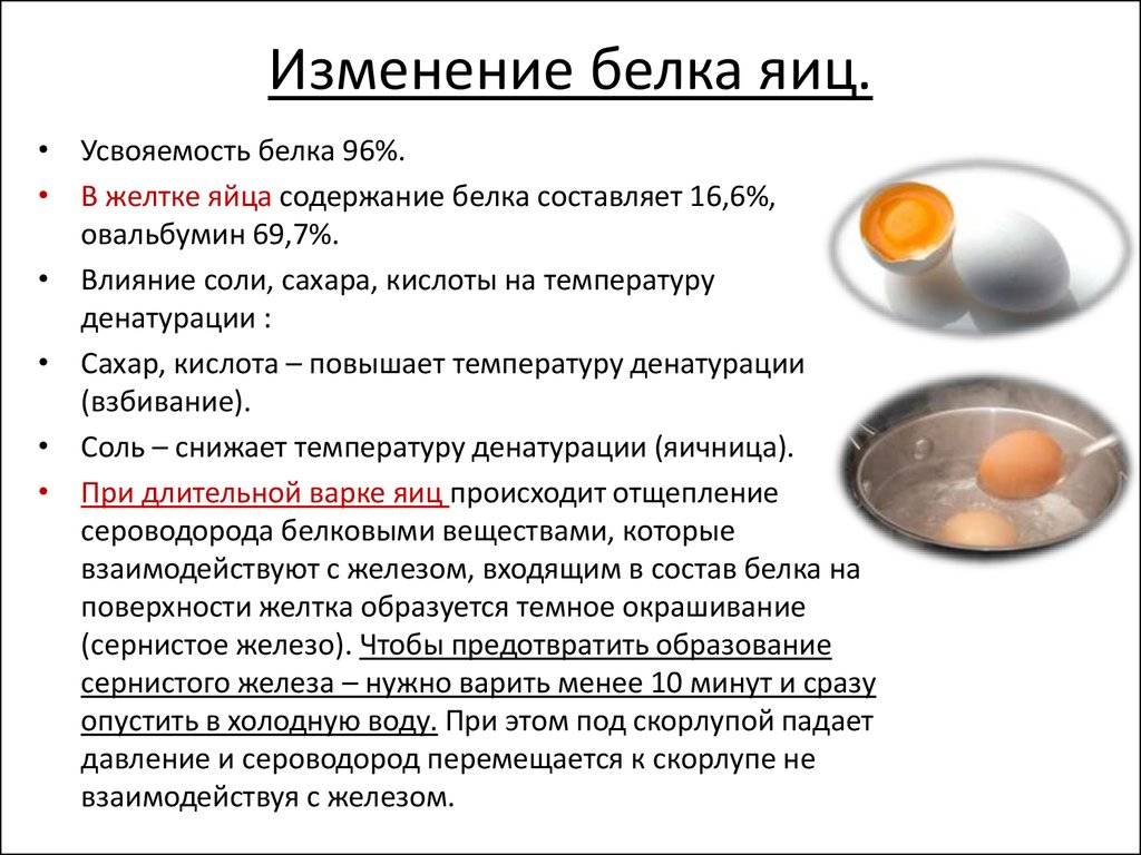 Почему нужно есть яйца целиком с желтком или без, утром или вечером | | irksportmol.ru