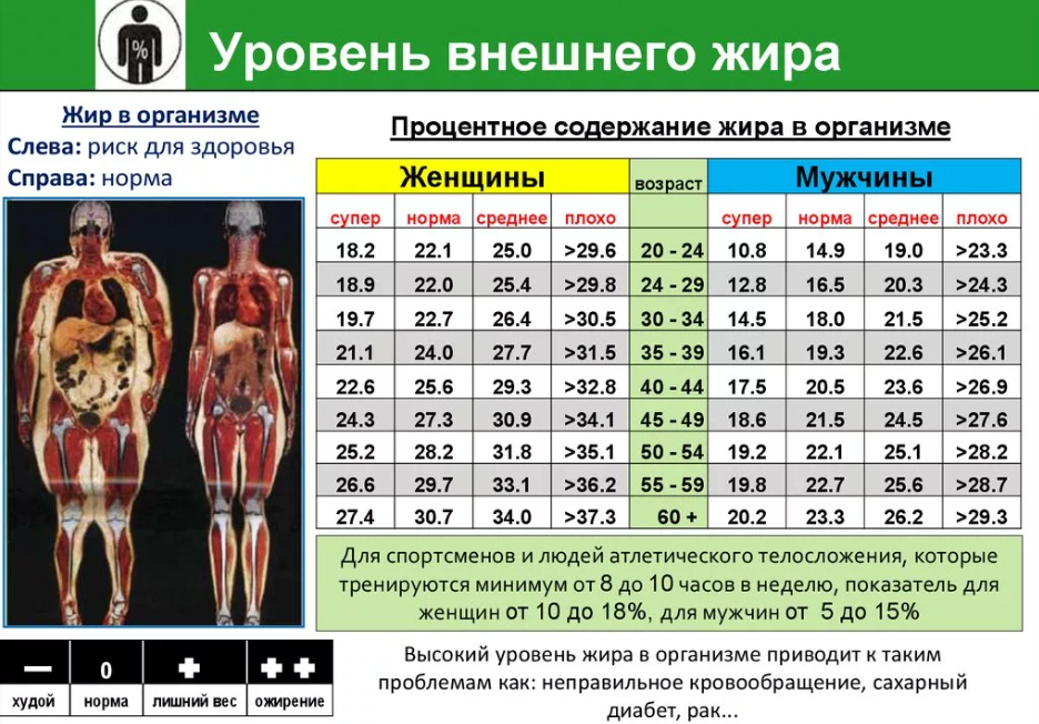 Расчет воды в организме. Нормальные показатели жира воды мышечной массы. Таблица процентного содержания жира в организме человека. Норма жиров в организме человека таблица.