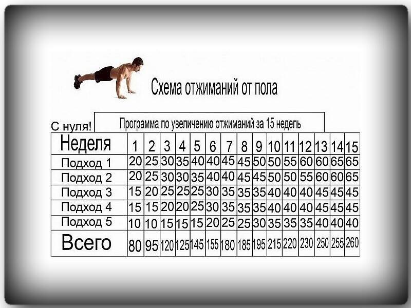 Отжимания от пола: программа тренировок (схема и таблица), какие мышцы работают, техника выполнения