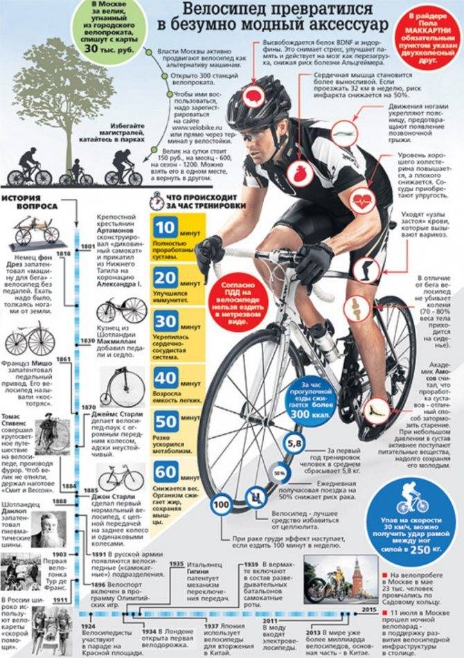 Сколько калорий сжигается при езде на велосипеде: и как ездить на велосипеде для похудения