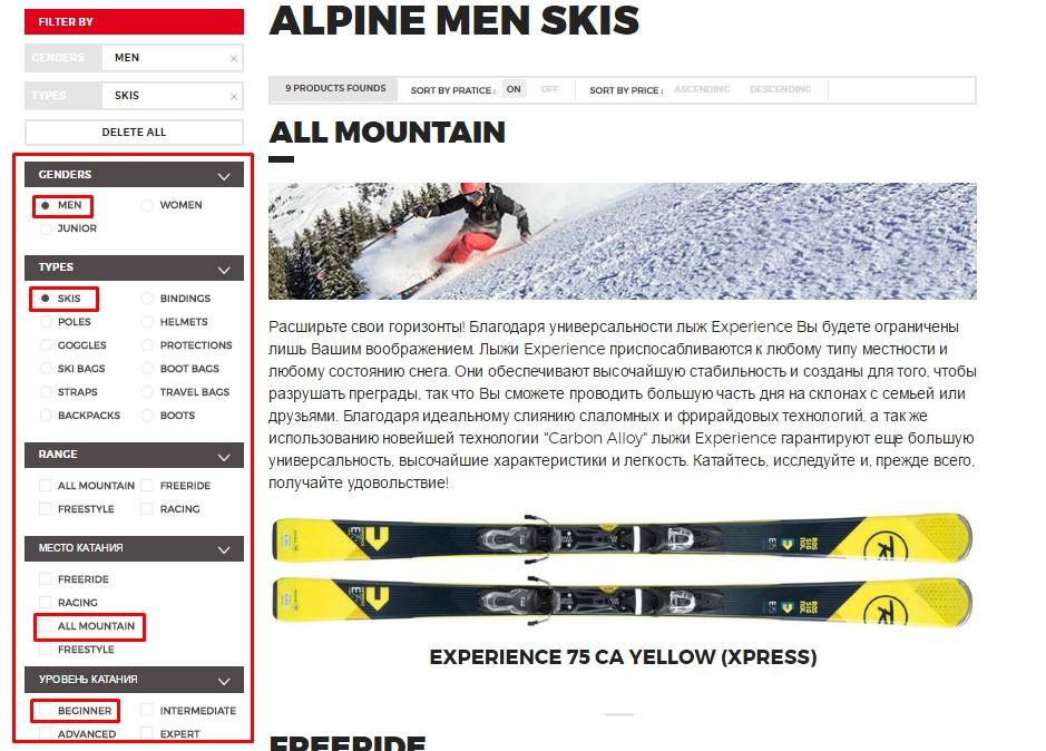 Самые популярные универсальные горные лыжи ведущих брендов
