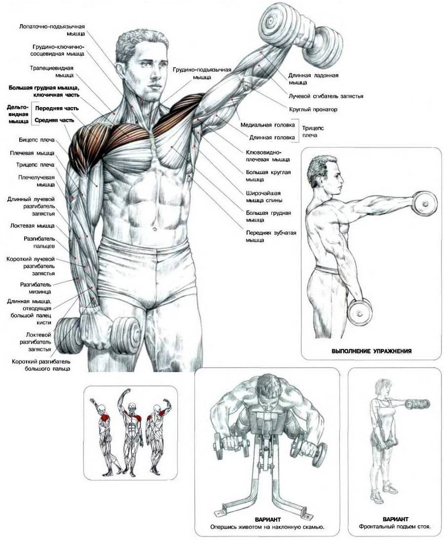 как накачать мышцы на груди у мужчин фото 112