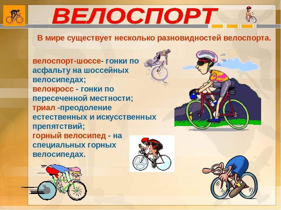 Спортивные велосипеды. виды и устройство. упражнения. как выбрать