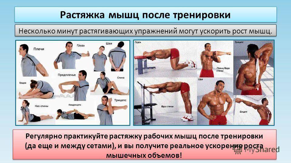 Как растягиваться: 15 шагов (с иллюстрациями)