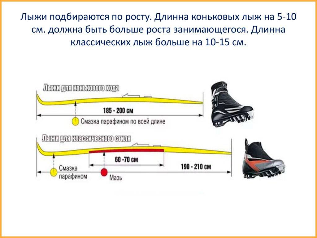 Лыжные гонки: описание, правила, виды, экипировка, трасса﻿