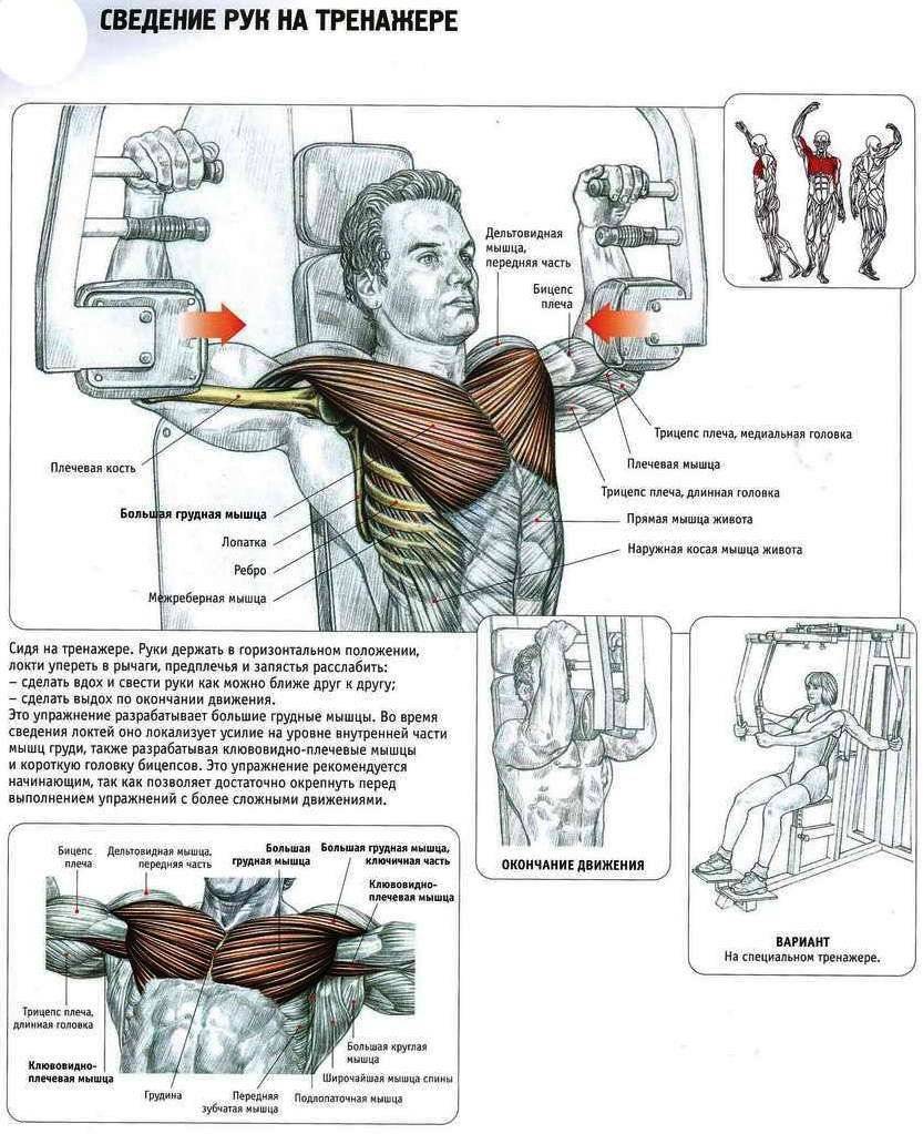 тренировка для мужчин мышц груди фото 23