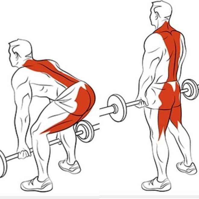 Как накачать спину: упражнения, программа тренировок накачать мышцы спины