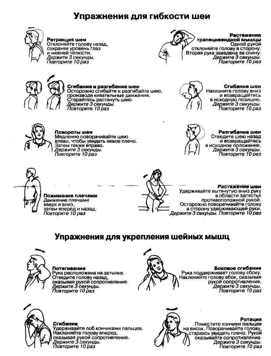 Суставная гимнастика – ежедневная профилактика артроза - noltrexsin