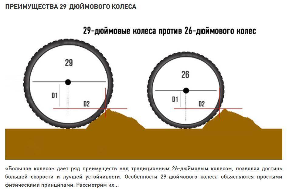 Какой диаметр у колеса велосипеда? 14, 20, 26 дюймов