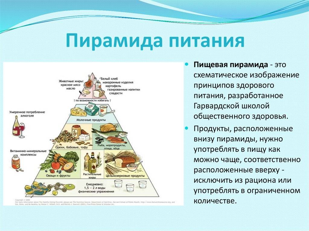 Укажите уровни пищевой пирамиды начиная с продуктов. Пирамида питания здорового человека воз. Гарвардская пирамида здорового питания. Основание пирамиды питания. Пирамида питания воз 2023.