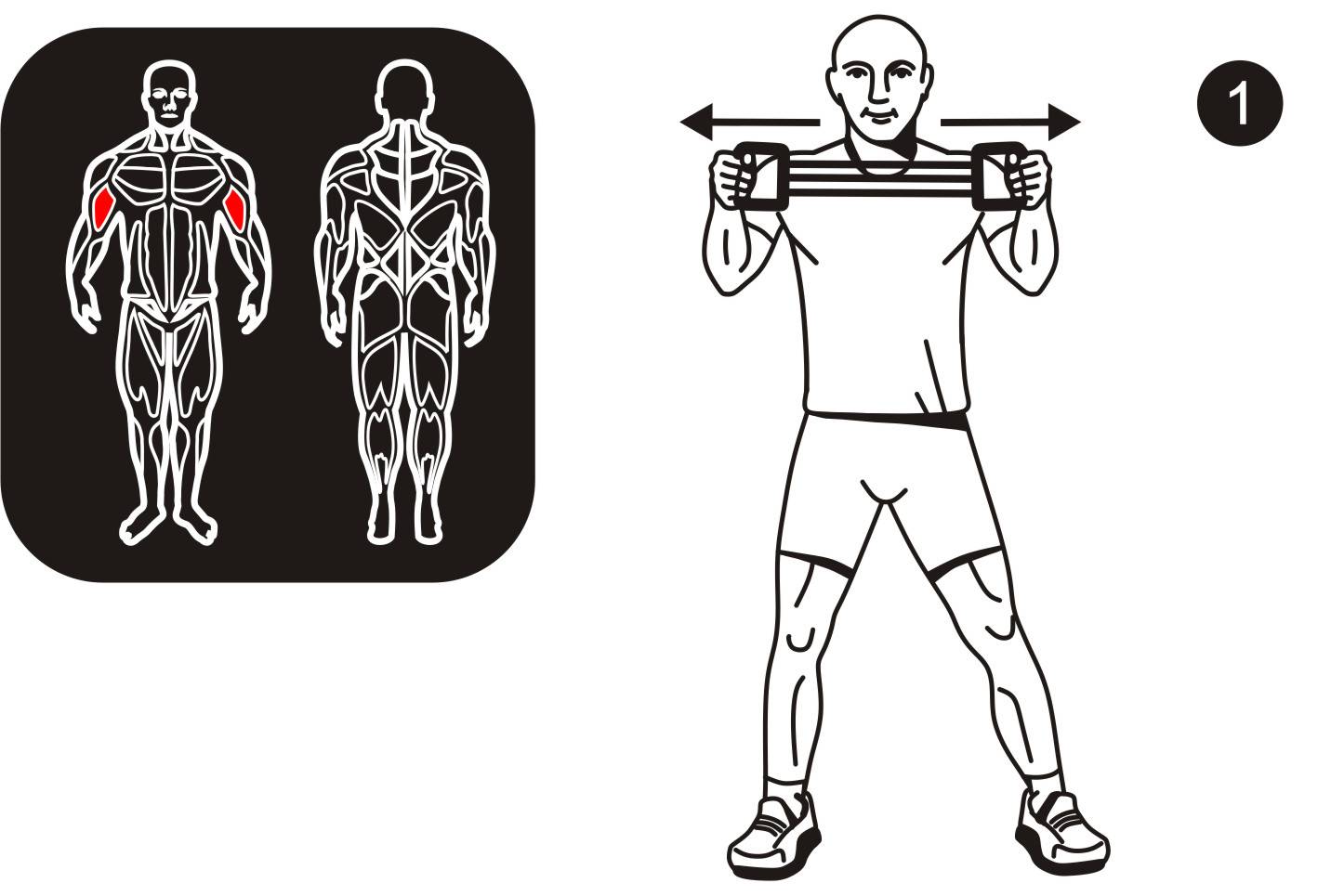 Упражнения с эспандером для тренировки мышц груди для женщин и мужчин