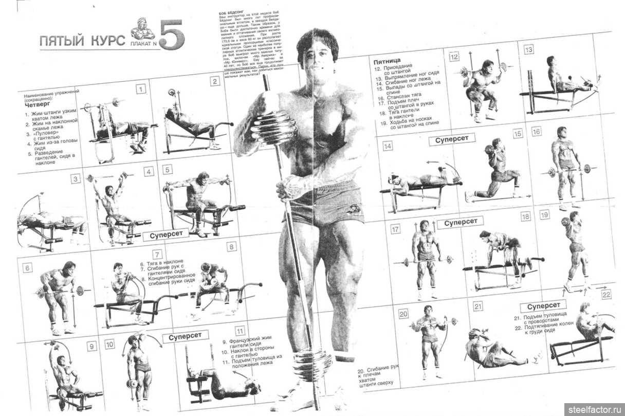 Упражнения на все группы мышц - лучший комплекс. программа тренировок для мужчин в тренажерном зале на все тело