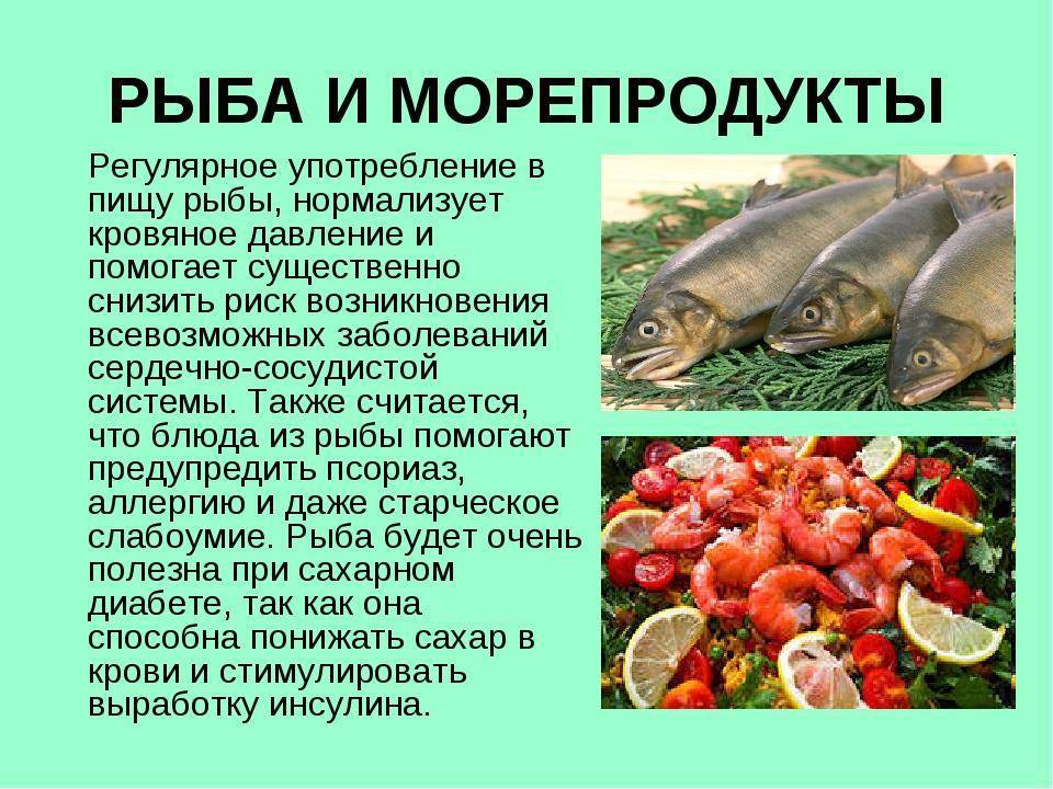 Рыба какой организм. Рыба в питании человека. Рыба и морепродукты полезны для организма. Польза рыбы и морепродуктов. Полезные качества рыбы.