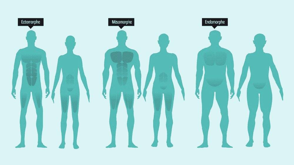 Астеническое телосложение у женщин и мужчин: характеристика