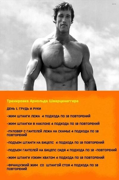 Жим арнольда, техника выполнения: качаем дельтовидные мышцы (видео) | rulebody.ru — правила тела
