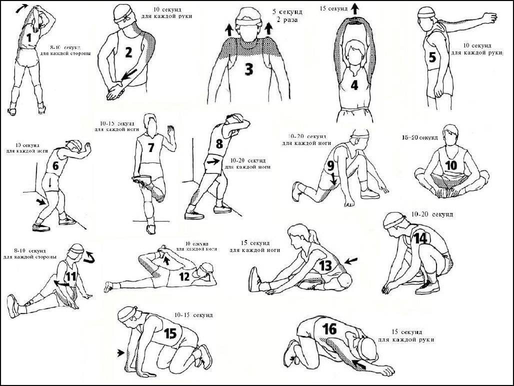 Упражнения для растяжки перед тренировкой – готовим тело к нагрузке