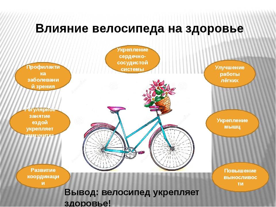 Польза езды на велосипеде: чем полезна езда, это, для, мужчин, женщин, фигуры, вред