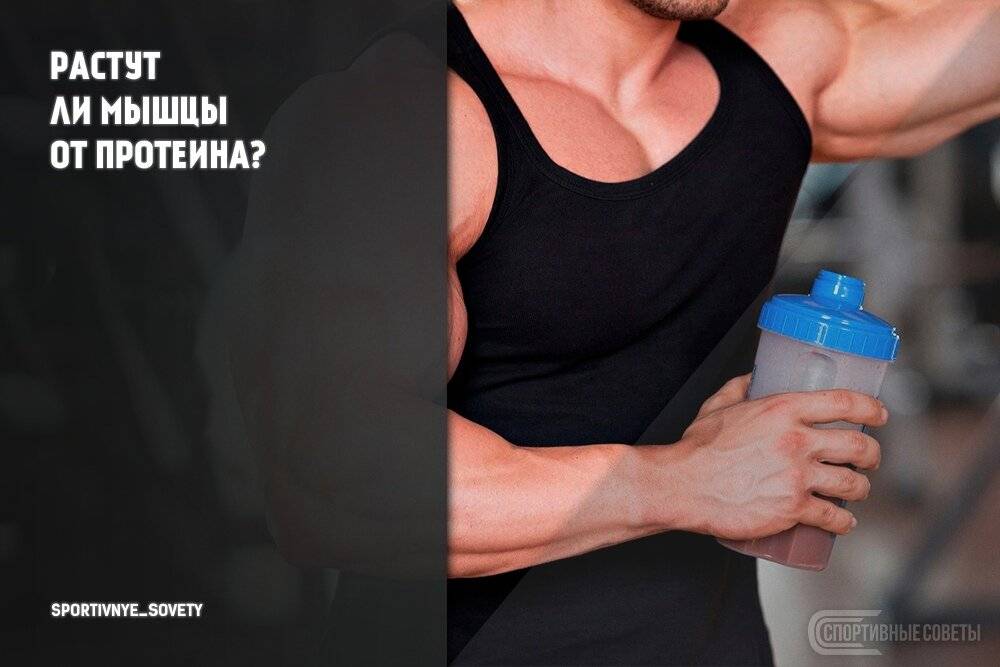 Стоит ли пить протеин во время тренировки?