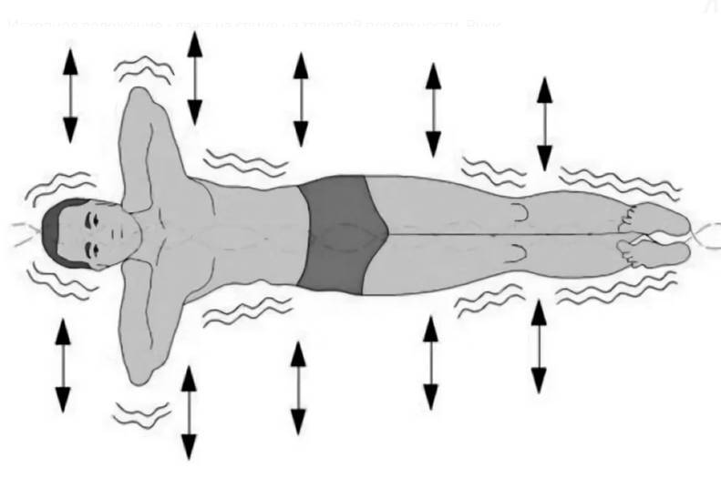 Упражнение "золотая рыбка" для позвоночника: кацудзо ниши, отзывы