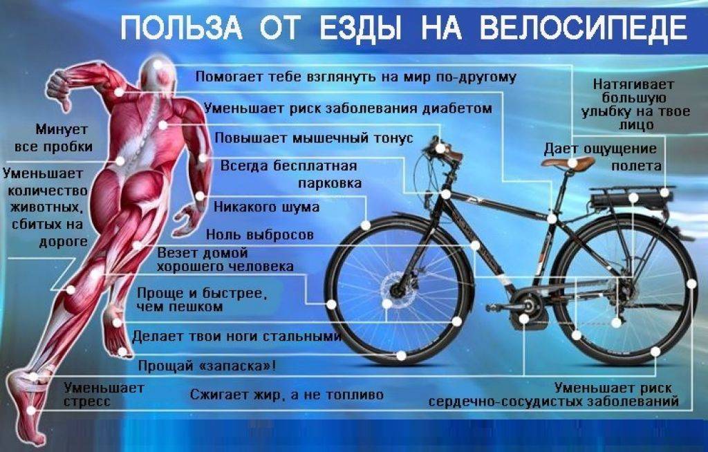 Польза велосипеда для здоровья мужчин и женщин - как влияет на здоровье велосипед